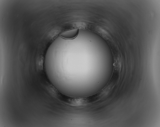 X0000086900717200704161316