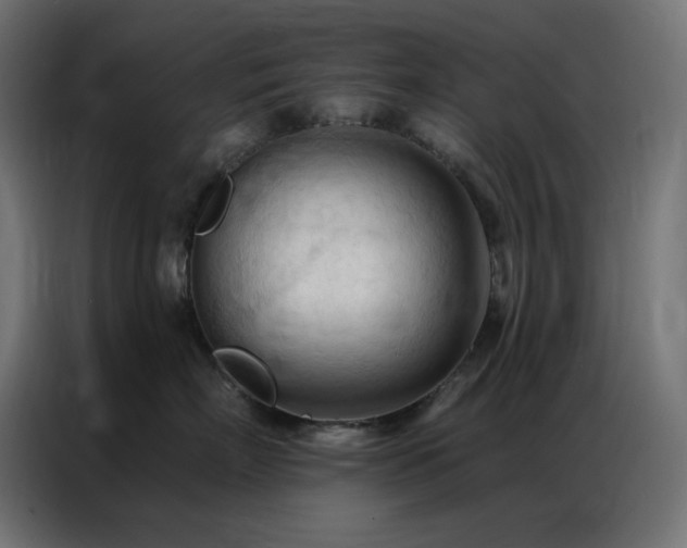 X0000086900718200704161316