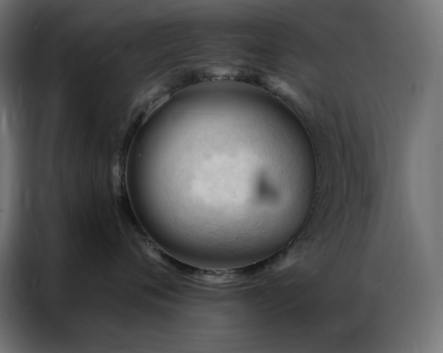 X0000086900720200704161316