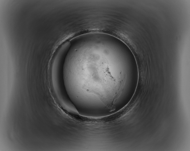 X0000086900721200704161315