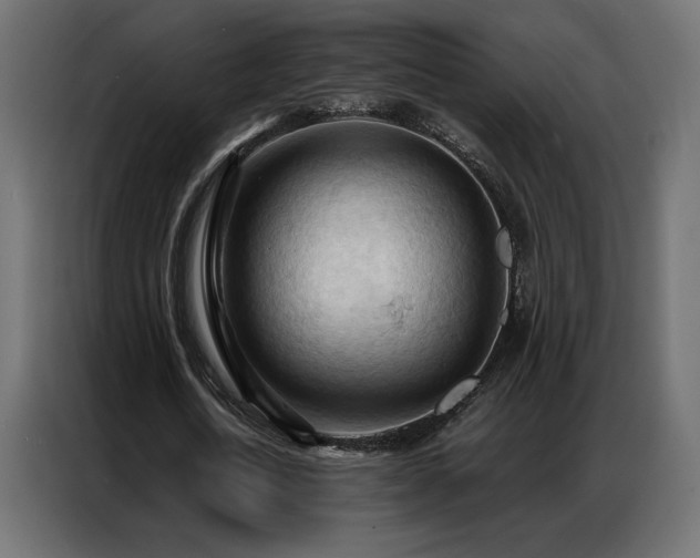 X0000086900722200704161315