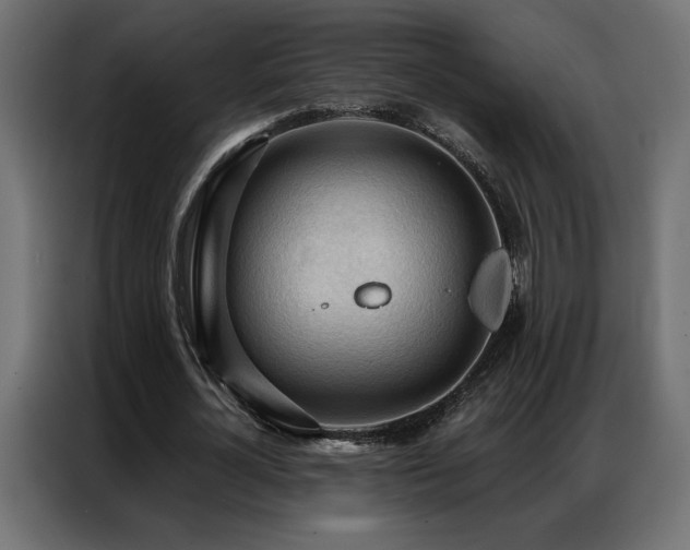 X0000086900724200704161315