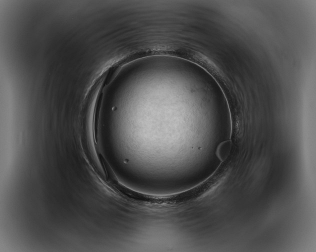 X0000086900725200704161315