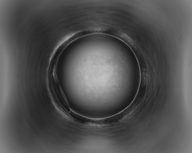 X0000086900726200704161315