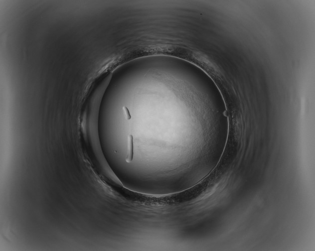 X0000086900729200704161315