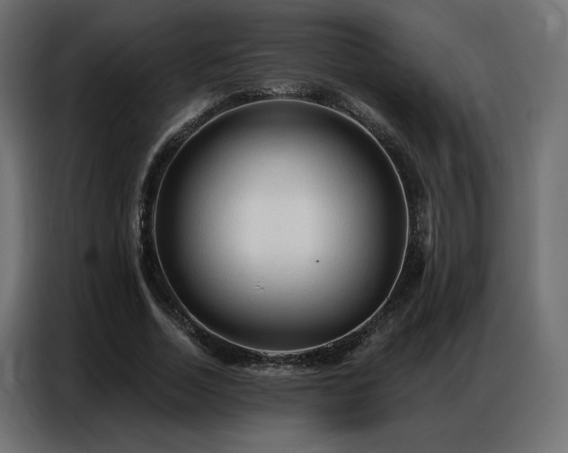 X0000086900730200704161315
