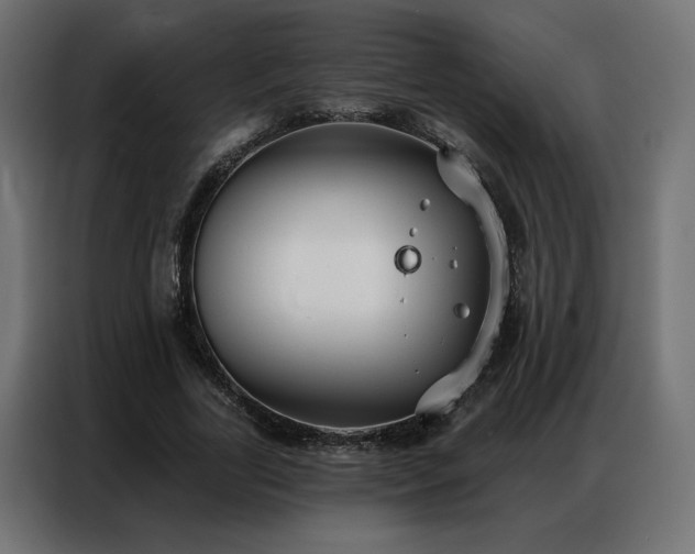 X0000086900731200704161315