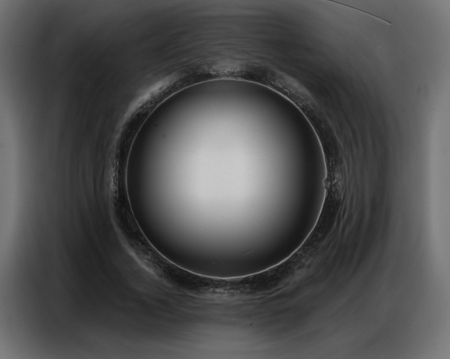 X0000086900732200704161315