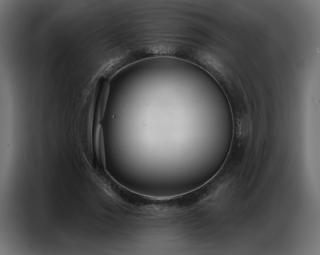 X0000086900733200704161315