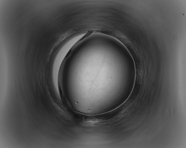 X0000086900734200704161315