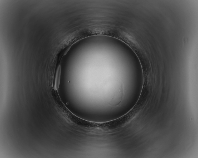 X0000086900737200704161316