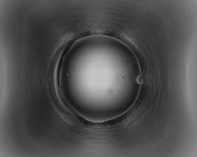 X0000086900738200704161316