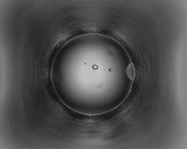 X0000086900739200704161316