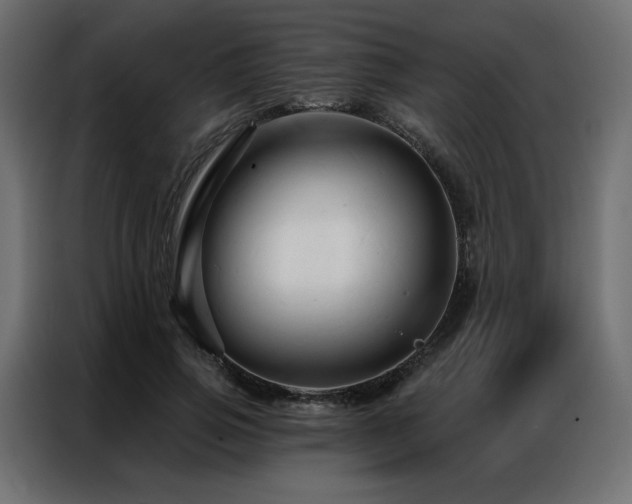 X0000086900741200704161316