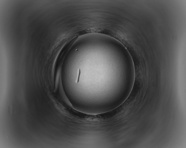 X0000086900742200704161316