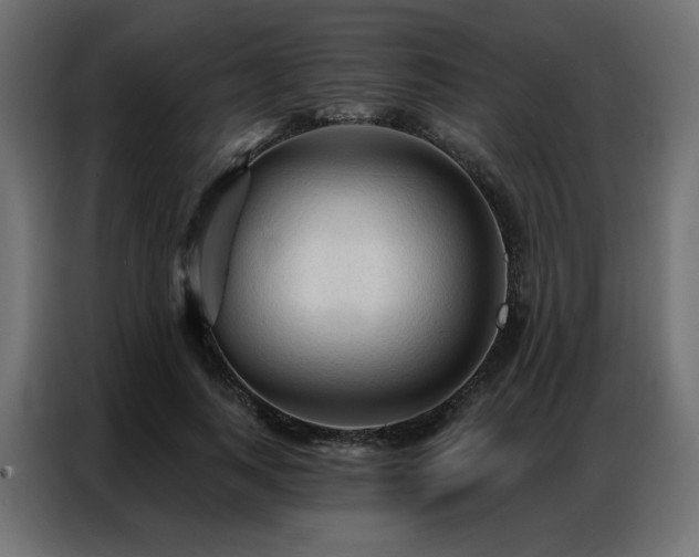 X0000086900743200704161316