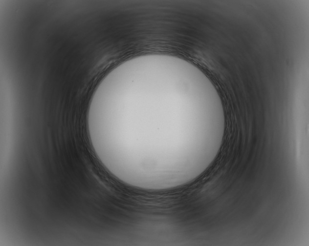 X0000086900744200704161316