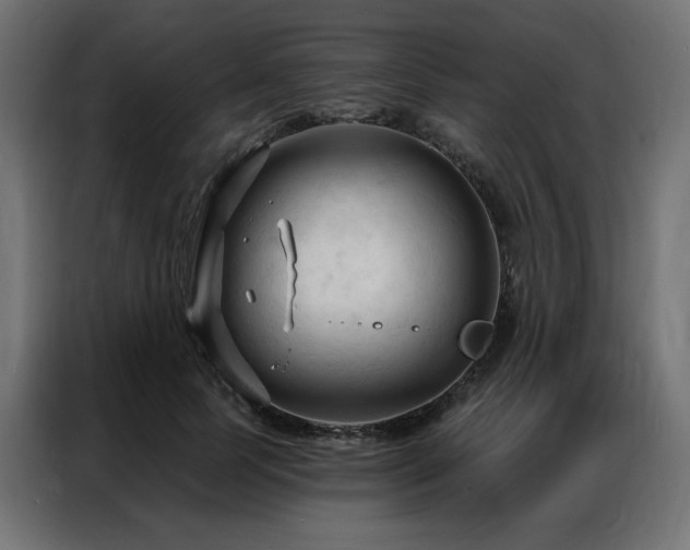 X0000086900745200704161316
