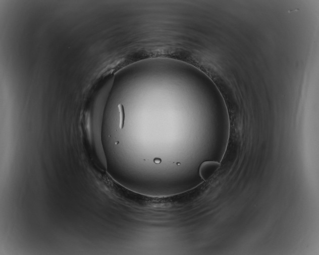 X0000086900746200704161316