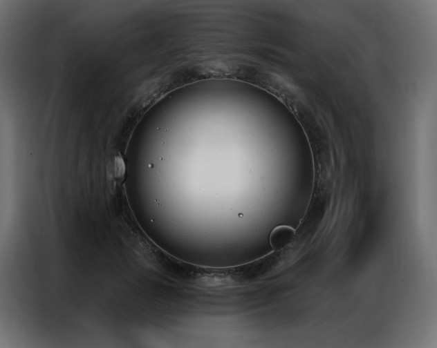 X0000086900749200704161316