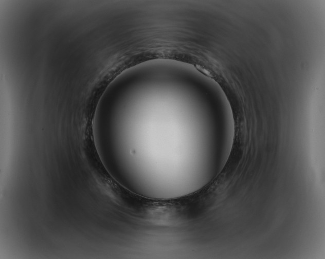 X0000086900750200704161316