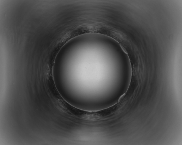 X0000086900752200704161316