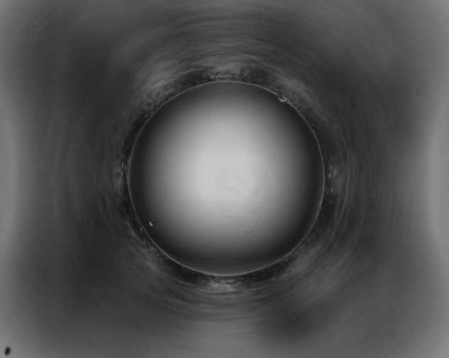 X0000086900753200704161316