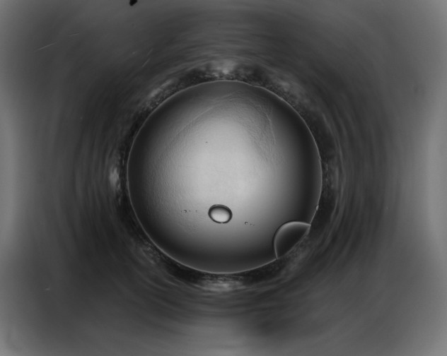 X0000086900754200704161316
