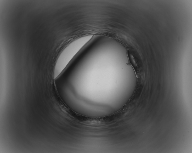 X0000086900756200704161316
