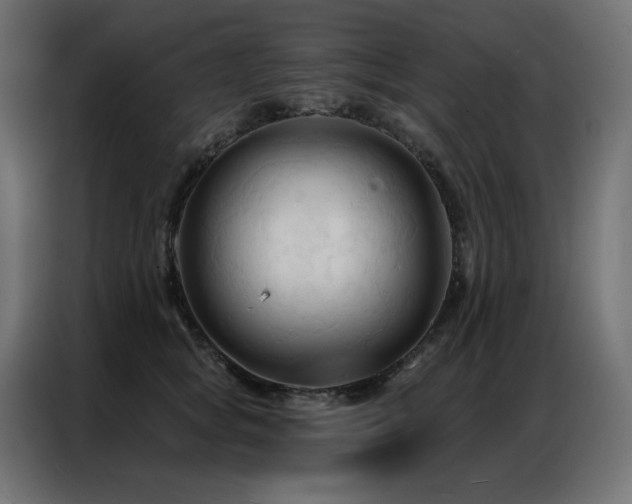 X0000086900757200704161316