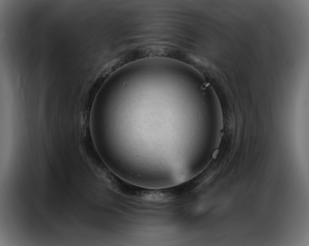 X0000086900759200704161316