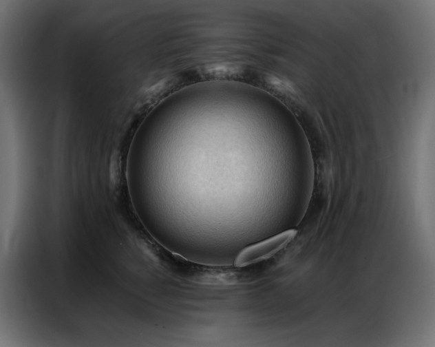 X0000086900760200704161316