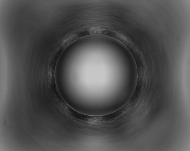 X0000086900761200704161316