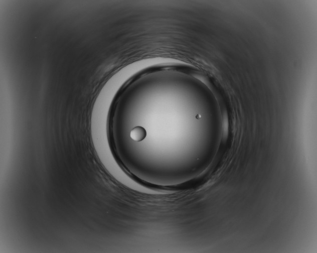 X0000086900762200704161316