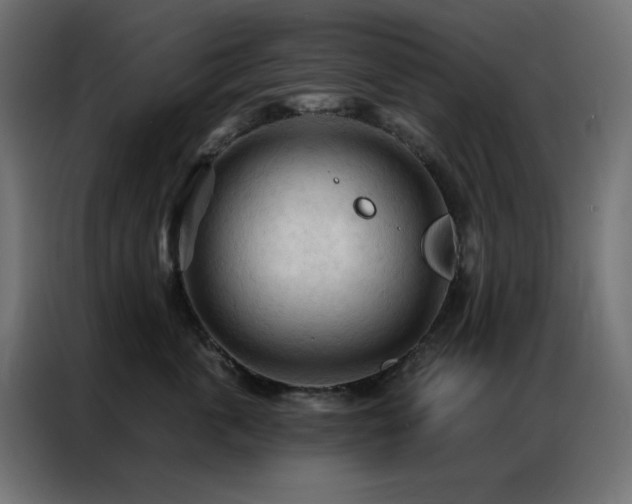 X0000086900763200704161316