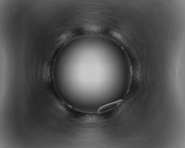 X0000086900764200704161316
