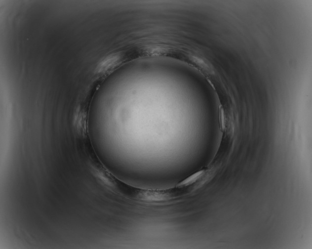 X0000086900766200704161316