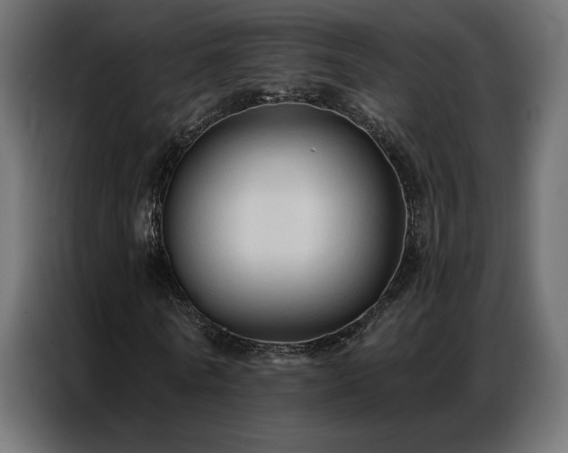 X0000086900770200704161315