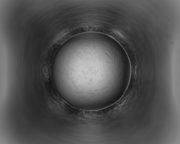 X0000086900774200704161315