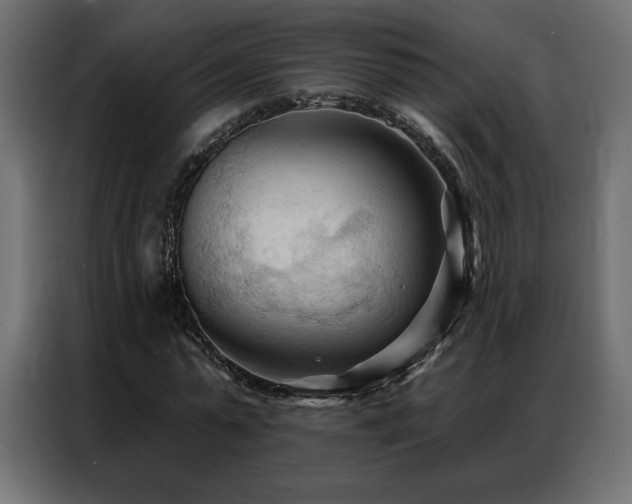 X0000086900775200704161315