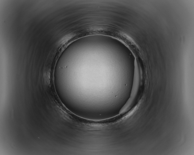 X0000086900777200704161315