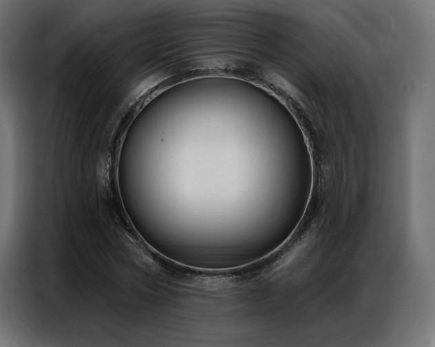X0000086900778200704161315