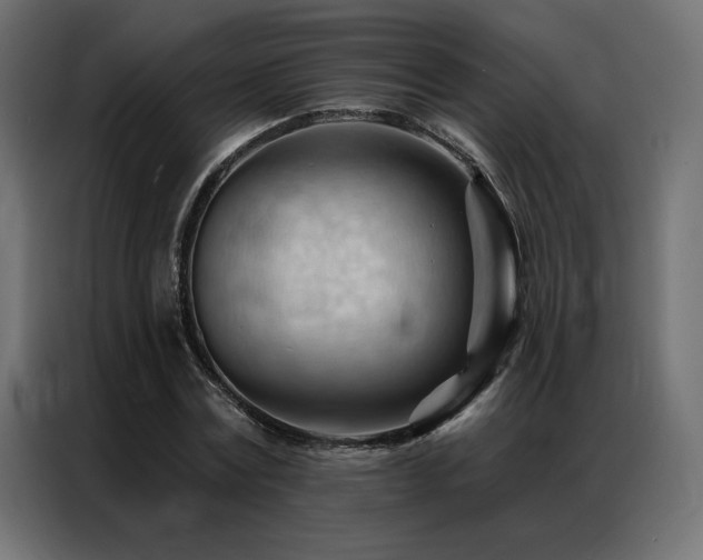 X0000086900779200704161315