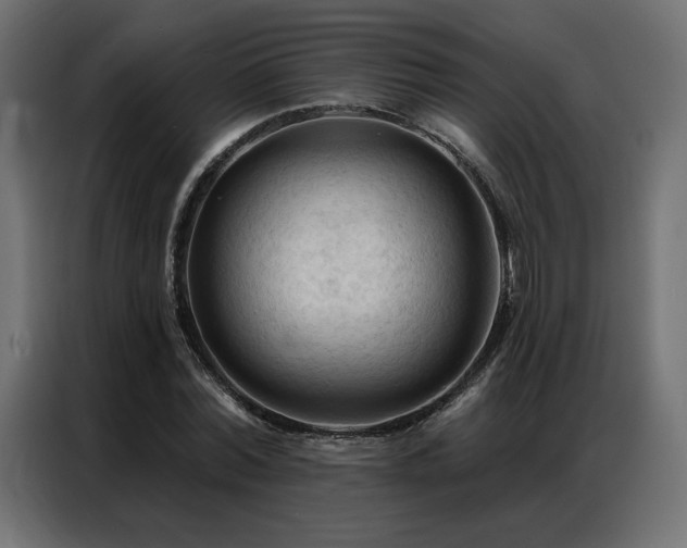 X0000086900780200704161315