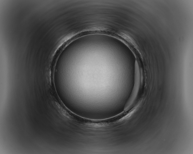 X0000086900781200704161315