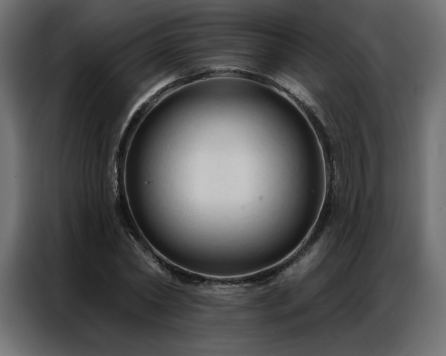 X0000086900782200704161315