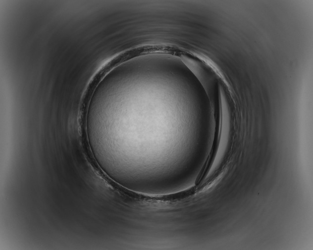X0000086900783200704161315
