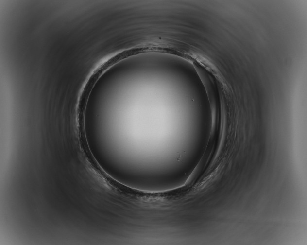 X0000086900784200704161315