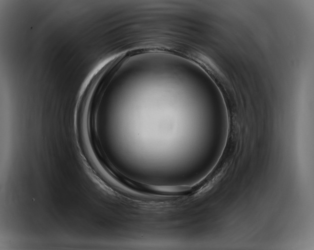 X0000086900788200704161315