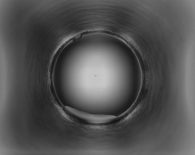 X0000086900789200704161315